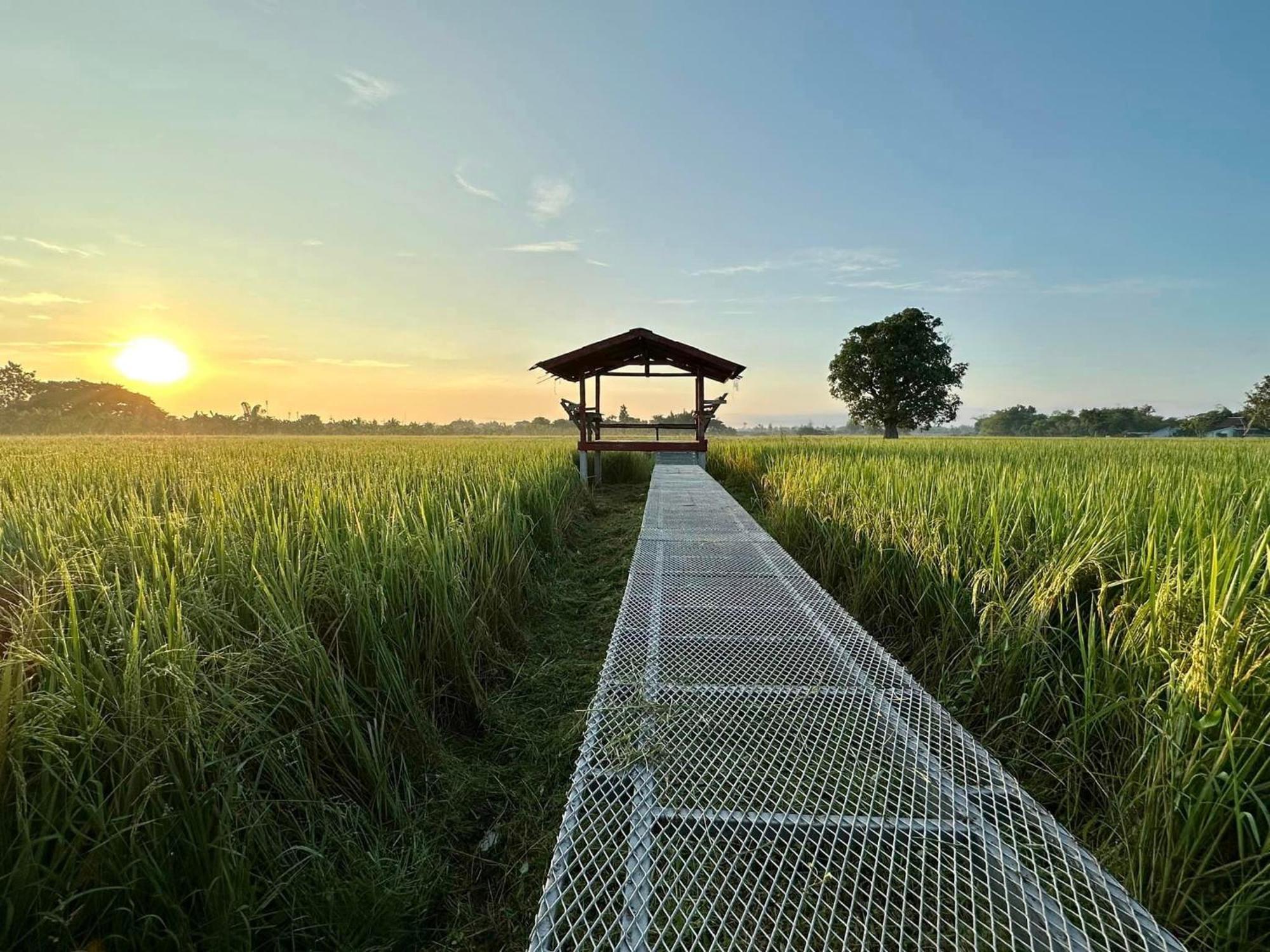 Phanumas Resort Chiang Mai Esterno foto